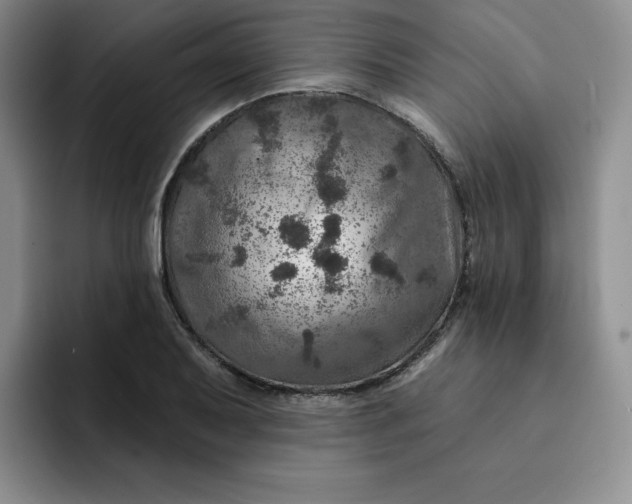 X0000091721079200709141201