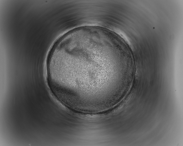 X0000091721080200709141201