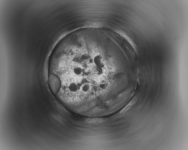 X0000091721083200709141200