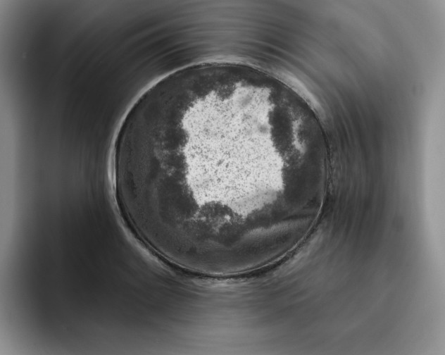 X0000091721084200709141200