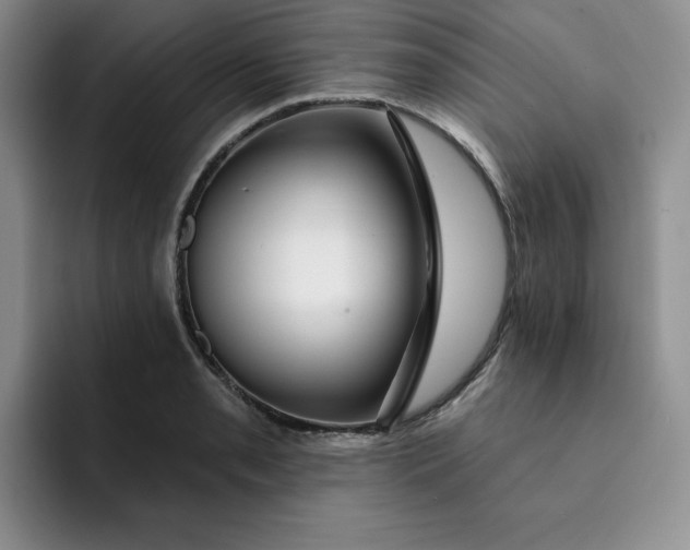 X0000091721085200709141200