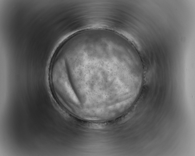 X0000091721086200709141200