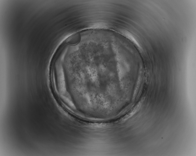 X0000091721087200709141200