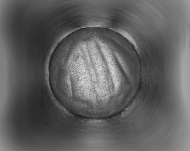 X0000091721088200709141200