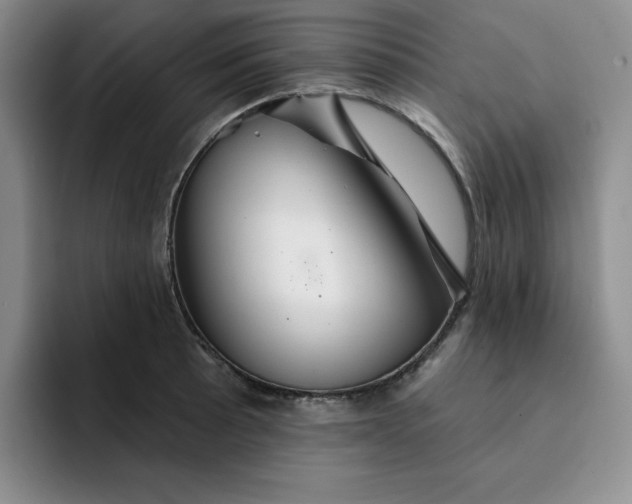 X0000091721089200709141200