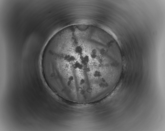 X0000091721091200709141200