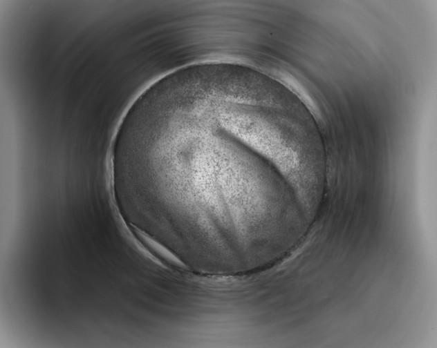 X0000091721092200709141200