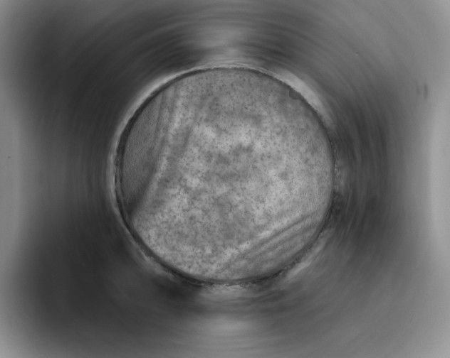 X0000091721094200709141200