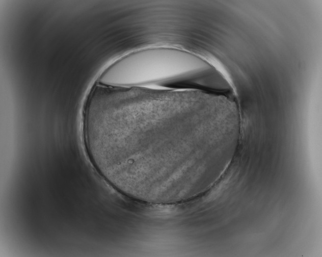 X0000091721096200709141200