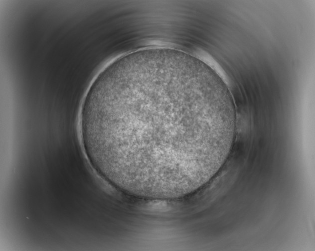 X0000091721098200709141200