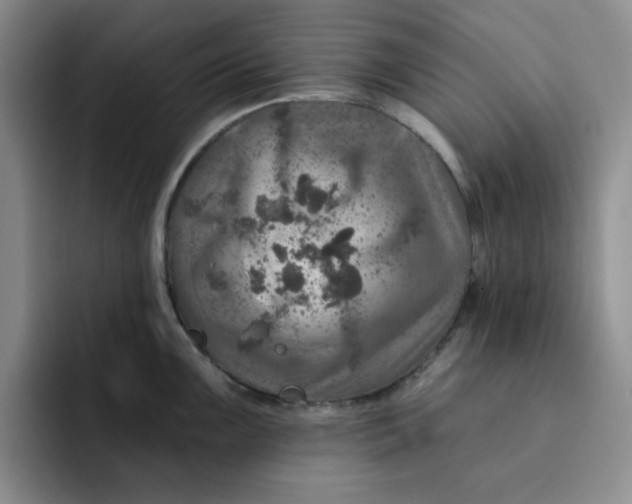 X0000091721099200709141200