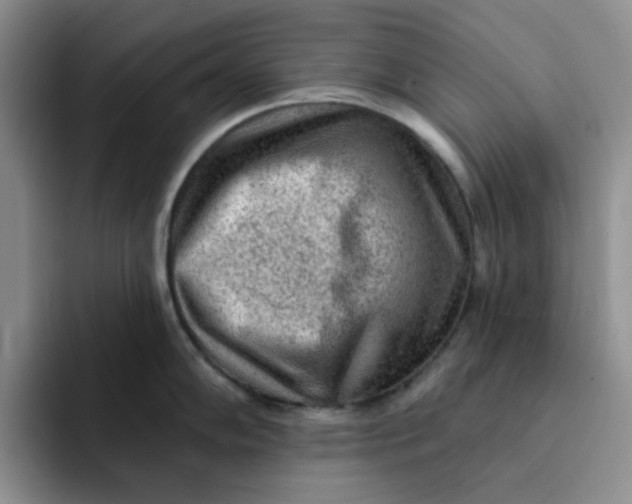 X0000091721102200709141200