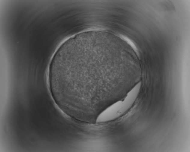 X0000091721103200709141200