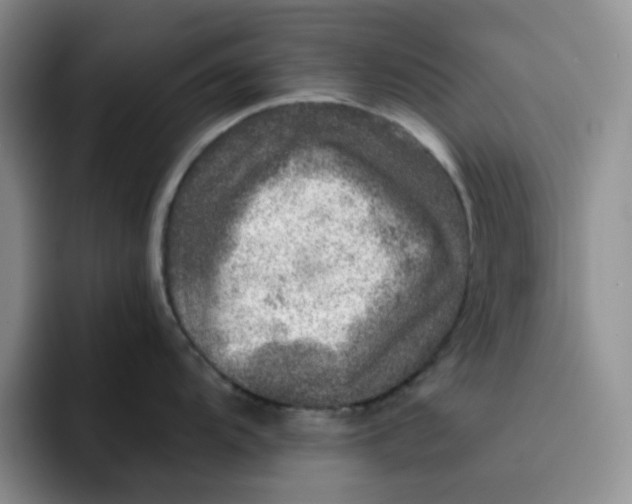 X0000091721104200709141200