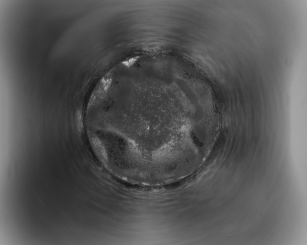 X0000091721106200709141200