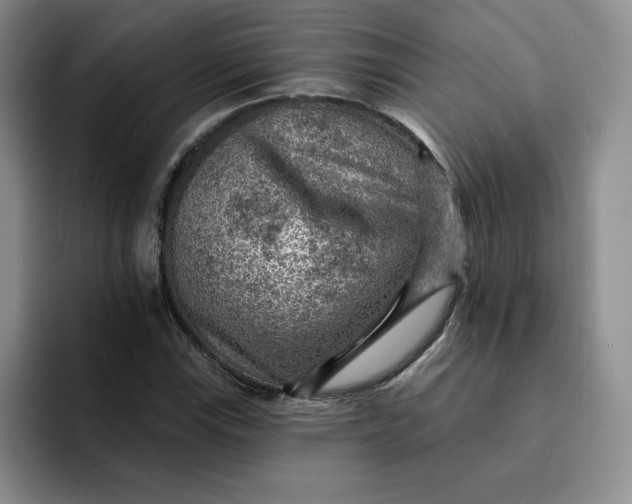 X0000091721115200709141200