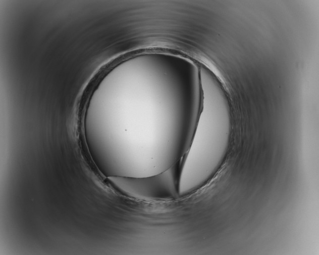 X0000091721116200709141200