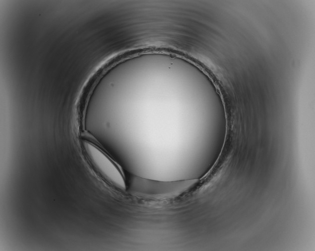 X0000091721118200709141200