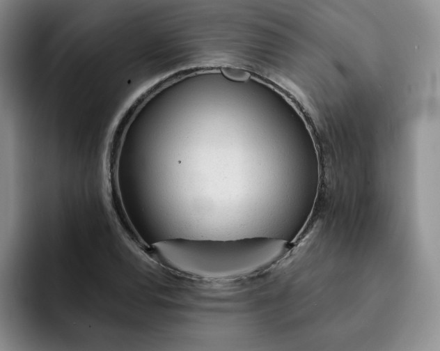 X0000091721120200709141200