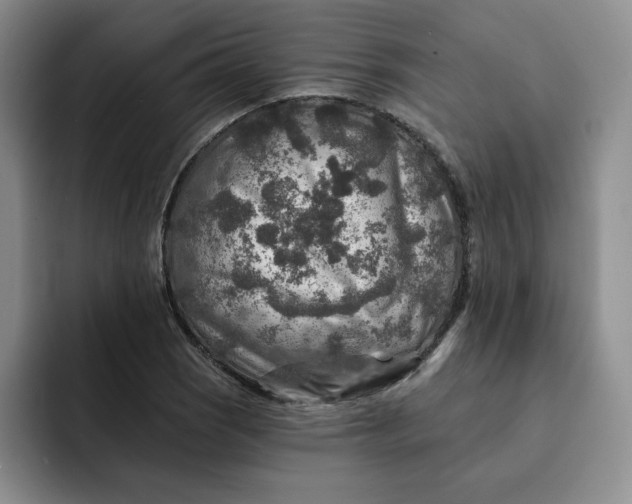 X0000091721121200709141200