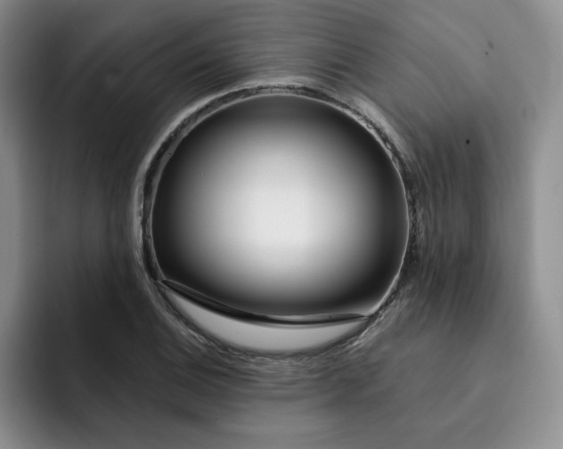 X0000091721124200709141200