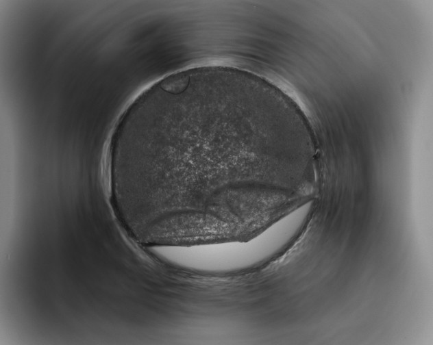 X0000091721127200709141200