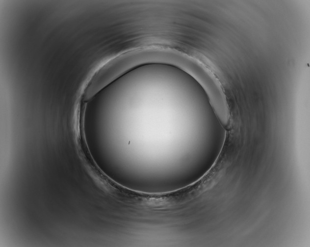 X0000091721128200709141200