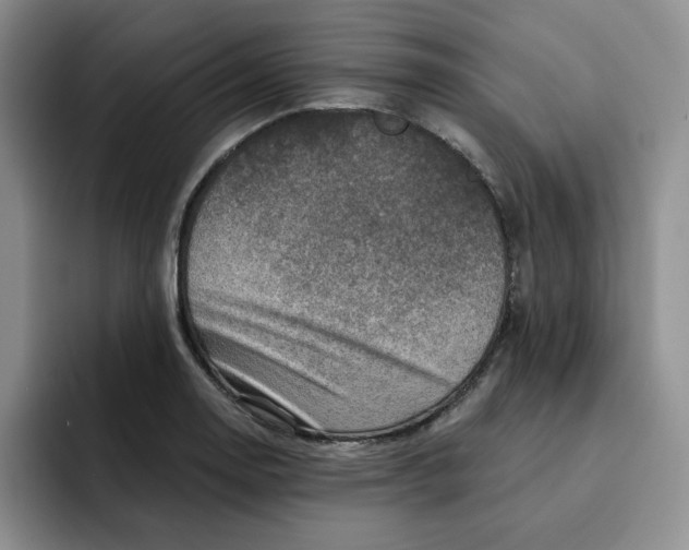 X0000091721130200709141200