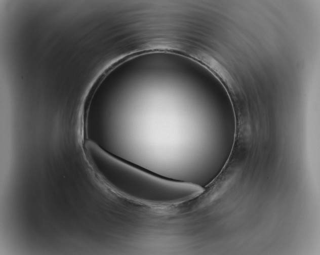 X0000091721132200709141200