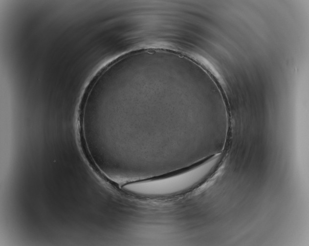 X0000091721133200709141200