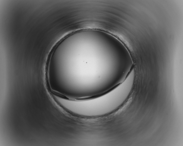 X0000091721134200709141200