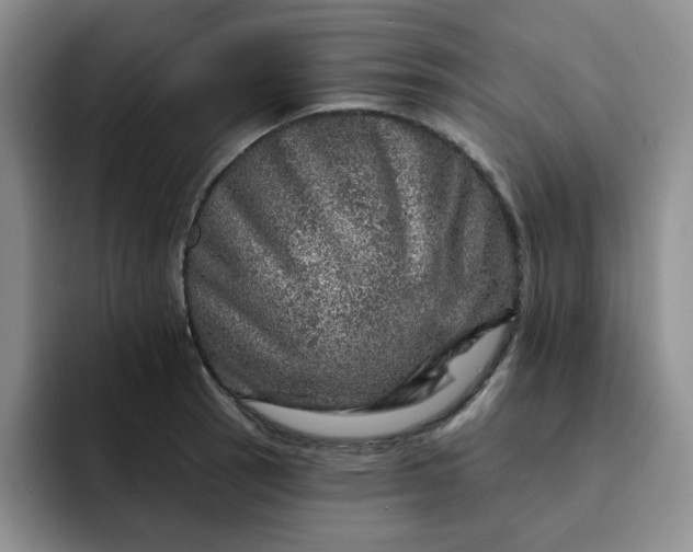 X0000091721137200709141200