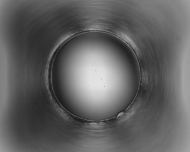 X0000091721138200709141200