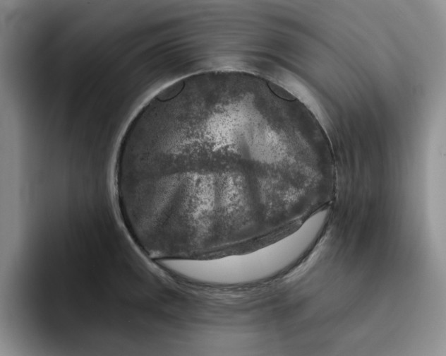 X0000091721141200709141200