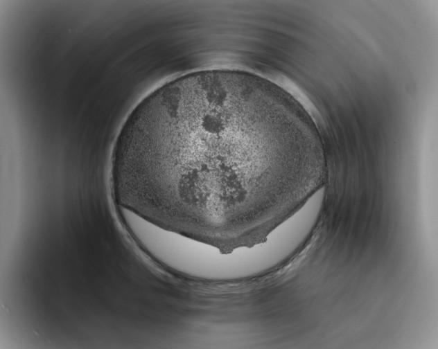 X0000091721142200709141200