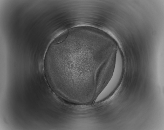 X0000091721145200709141200