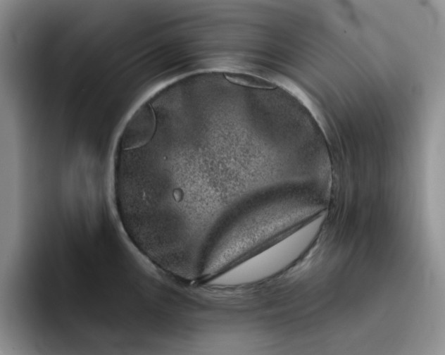 X0000091721147200709141200