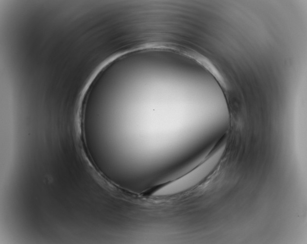 X0000091721148200709141200