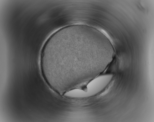 X0000091721149200709141200