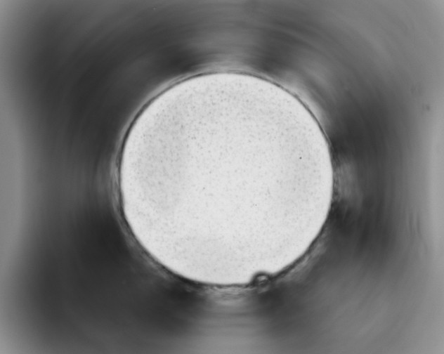 X0000091721150200709141200