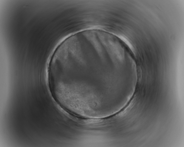 X0000091721151200709141200