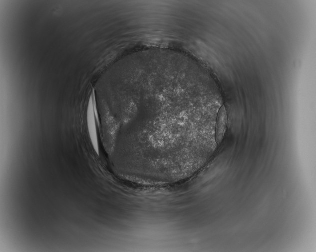 X0000091721154200709141200