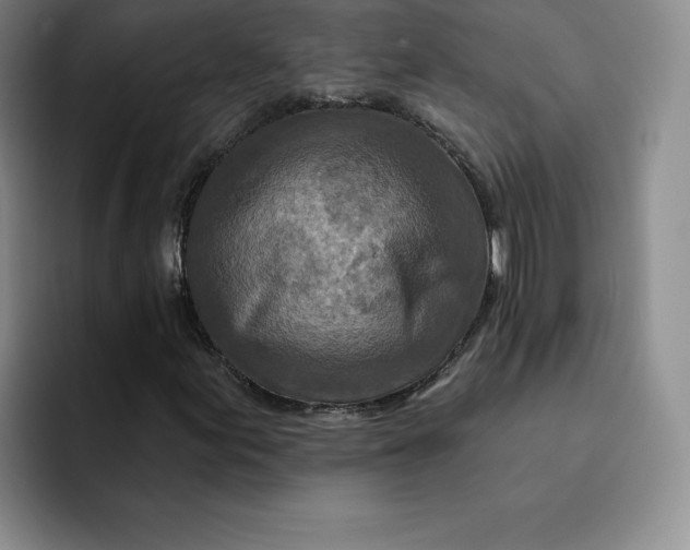 X0000091721155200709141200