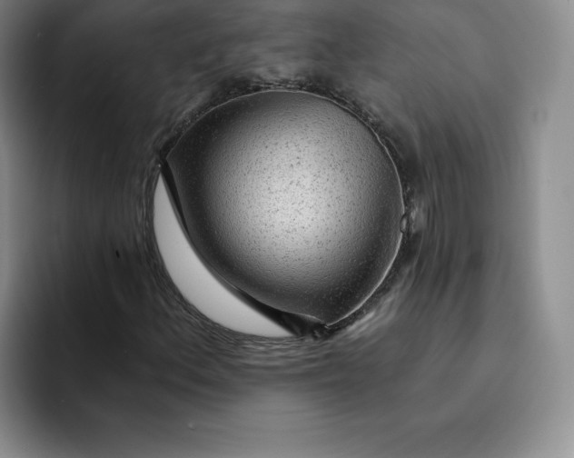 X0000091721156200709141200