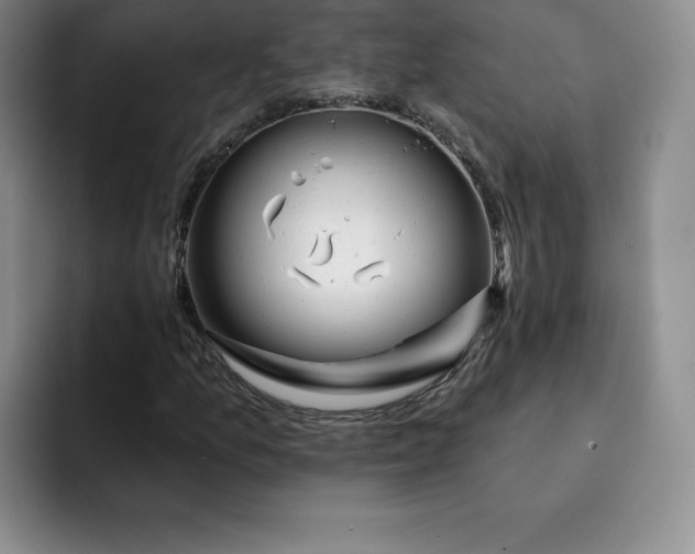 X0000091721157200709141200