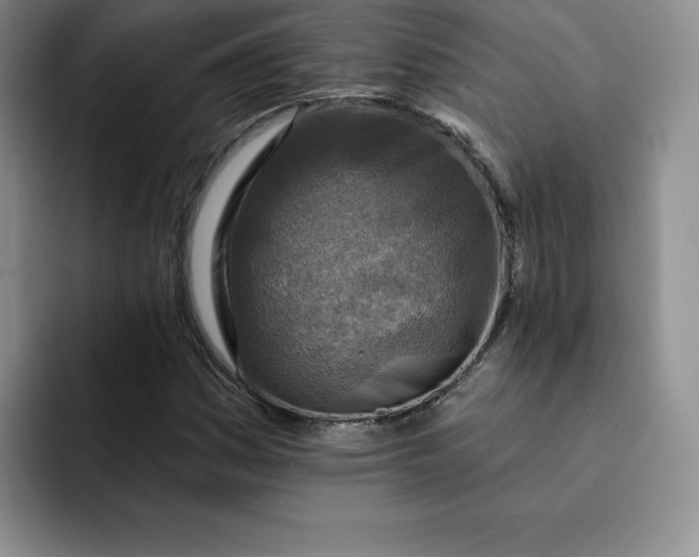 X0000091721161200709141159