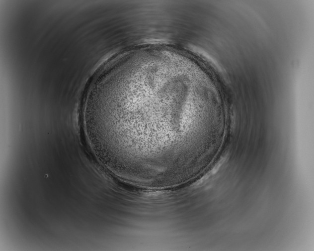 X0000091721162200709141159