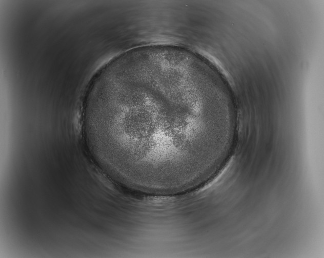 X0000091721163200709141159