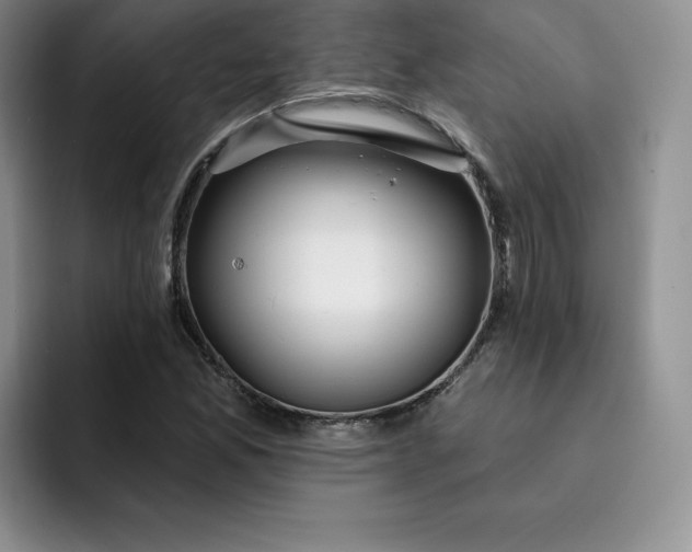 X0000091721165200709141159