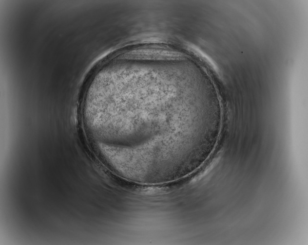 X0000091721166200709141159